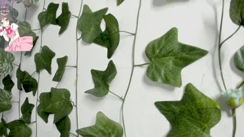 paulina online show from December 23, 2024, 2:56 am