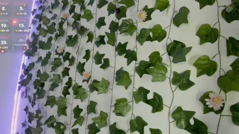 paulina online show from December 31, 2024, 12:54 am