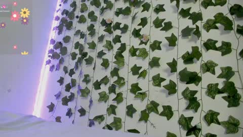 paulina online show from December 31, 2024, 9:06 pm