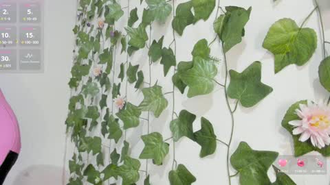 paulina online show from January 7, 2025, 12:24 am