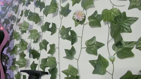 paulina online show from January 8, 2025, 12:49 am