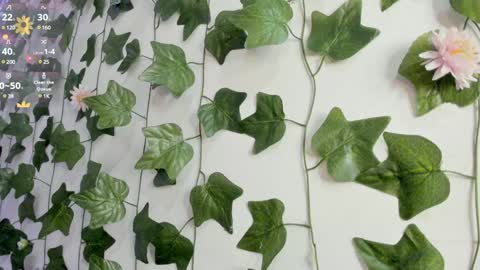 paulina online show from January 9, 2025, 12:14 am