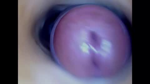Paula 18 Aninhos online show from January 17, 2025, 3:53 pm