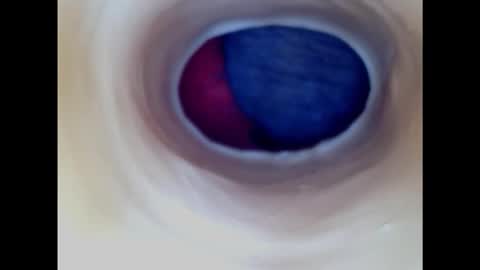 Paula 18 Aninhos online show from January 18, 2025, 5:04 pm