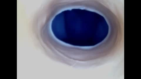 Paula 18 Aninhos online show from November 17, 2025, 5:24 am