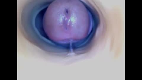 Paula 18 Aninhos online show from November 17, 2025, 5:30 pm