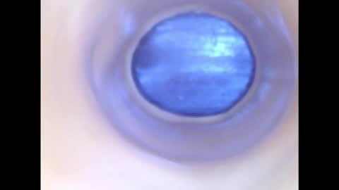 Paula 18 Aninhos online show from December 2, 2025, 2:28 am