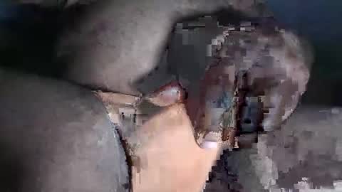 paulcockring online show from November 23, 2025, 4:34 am