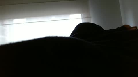 paulina online show from February 10, 2025, 3:42 pm