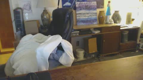 paulleroy online show from January 25, 2025, 1:43 am