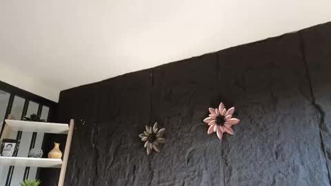 Paulo online show from January 17, 2026, 9:18 pm