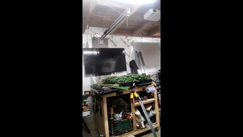 Snapshot of pawelniceguy chatting on January 19, 2026, 2:26 am pawelniceguy online show from January 19, 2026, 2:26 am