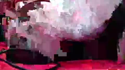 Coco channel  online show from December 20, 2024, 10:05 am