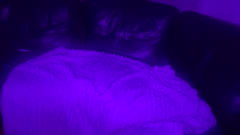 paybarbi online show from November 16, 2025, 7:14 am