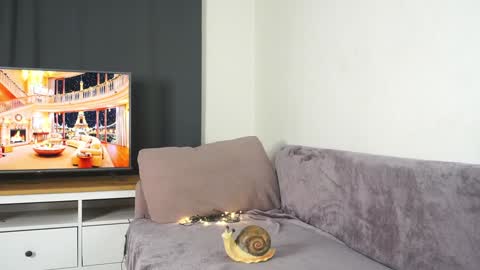 Violetta online show from December 29, 2024, 3:03 pm