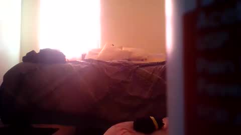 Snapshot of pebblessmith453 chatting on November 10, 2025, 2:49 pm pebblessmith453 online show from November 10, 2025, 2:49 pm