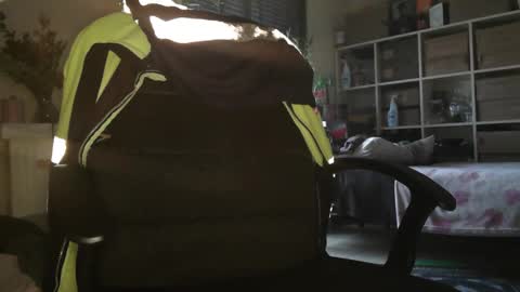 peregrintpelfox online show from December 16, 2025, 10:20 am