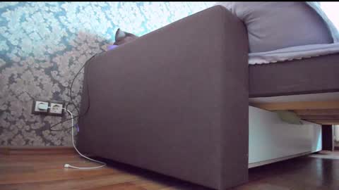 Anna online show from December 10, 2024, 9:01 am