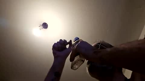 Snapshot of pervpig1 chatting on November 27, 2025, 10:45 pm pervpig1 online show from November 27, 2025, 10:45 pm