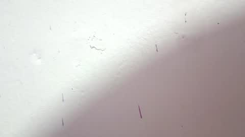 danna online show from July 3, 2026, 3:46 am