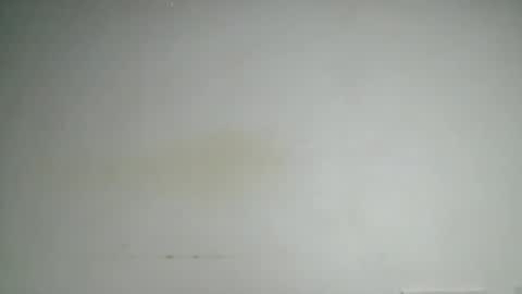Snapshot of petitgirl88 chatting on June 24, 2026, 5:39 am petitgirl88 online show from June 24, 2026, 5:39 am