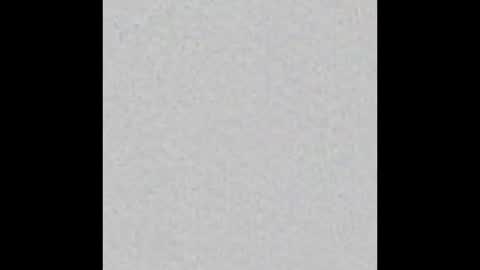 peytonn_monroe online show from November 16, 2025, 3:01 am