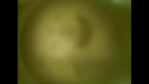 pierrecard1 online show from October 13, 2025, 5:40 am