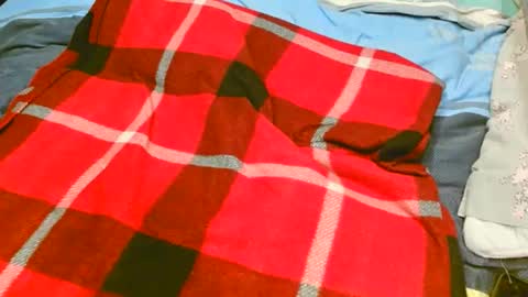 pinewoodman online show from November 10, 2025, 7:07 am