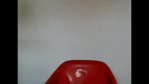 pinkxsugar online show from April 21, 2026, 8:31 am