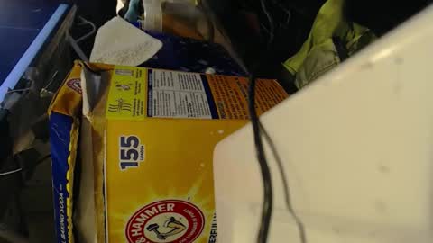 Snapshot of pisanobear chatting on February 7, 2026, 10:13 pm Pisanobear Daddy loose open HairyHole poppers toys online show from February 7, 2026, 10:13 pm