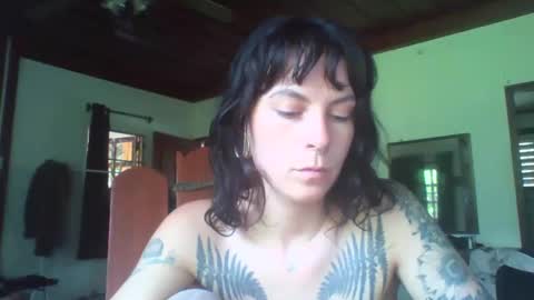 pixiecatfairy online show from November 11, 2025, 6:24 am