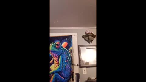 pizzedwife online show from February 13, 2026, 8:16 pm