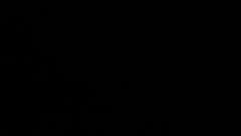 playerboybunny online show from December 1, 2025, 9:03 am