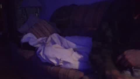 playerpleasure online show from April 4, 2026, 10:02 am