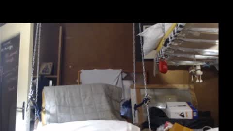 Snapshot of plumerialba chatting on December 15, 2024, 4:04 pm Plumerialba online show from December 15, 2024, 4:04 pm