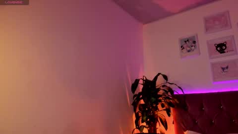 Patrocla online show from February 14, 2025, 12:03 pm