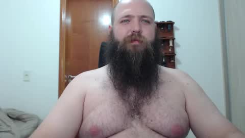 Bear online show from February 17, 2025, 12:54 am