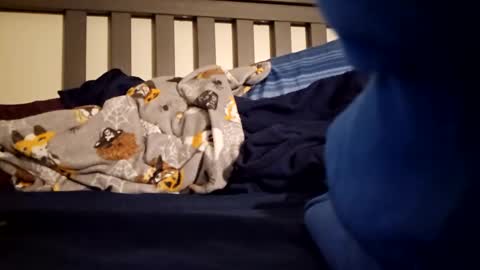 Polebee online show from January 23, 2025, 10:43 am