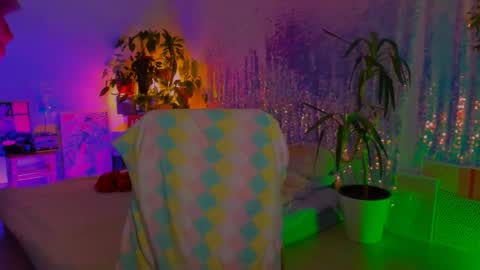 Martha online show from January 31, 2026, 7:11 pm