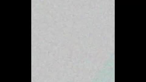 pollardj906 online show from October 8, 2025, 9:51 am