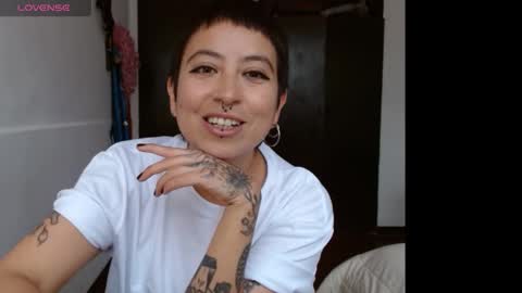 Poly online show from January 29, 2025, 4:19 pm