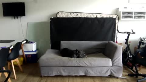 popopo0 online show from January 28, 2025, 5:24 pm