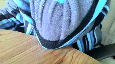 Snapshot of poshman65 chatting on December 29, 2024, 11:29 am poshman65 online show from December 29, 2024, 11:29 am