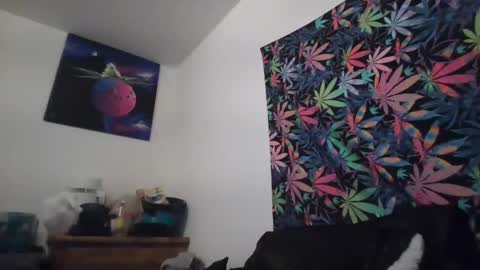 Libra Lamont online show from September 13, 2025, 2:33 am