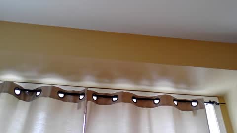 pretty_littletoy online show from March 5, 2026, 2:02 pm