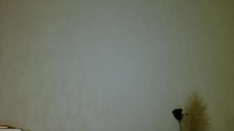 Snapshot of pretty_sharon chatting on January 15, 2025, 3:00 am Sharon online show from January 15, 2025, 3:00 am