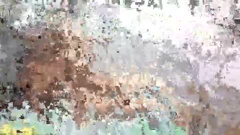 SaraCattra online show from September 12, 2025, 10:48 am