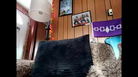 prettysolid7 online show from January 12, 2026, 6:46 pm