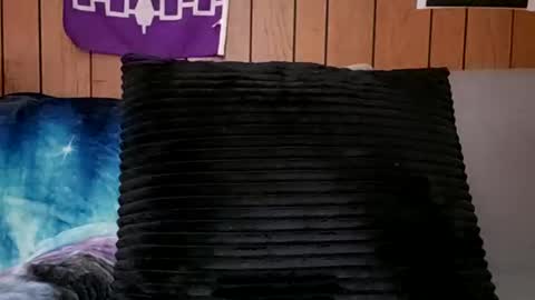 prettysolidd7 online show from February 24, 2025, 11:21 am