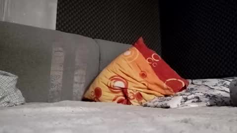 Snapshot of pretyboyl chatting on February 12, 2025, 12:27 am chubbymmm online show from February 12, 2025, 12:27 am